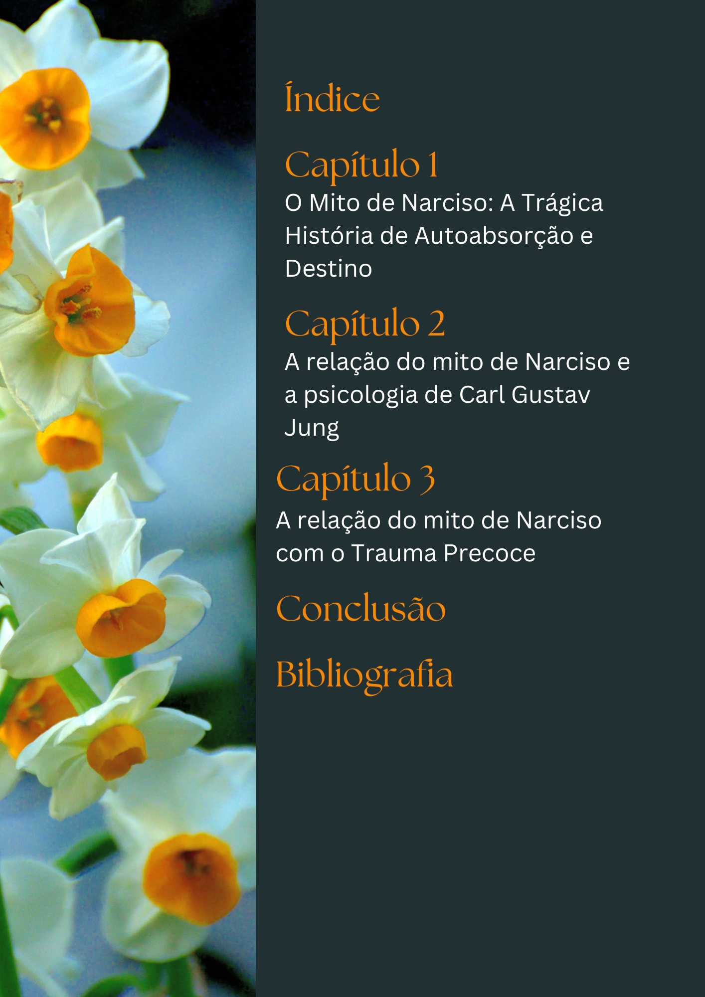 o mito de narciso1